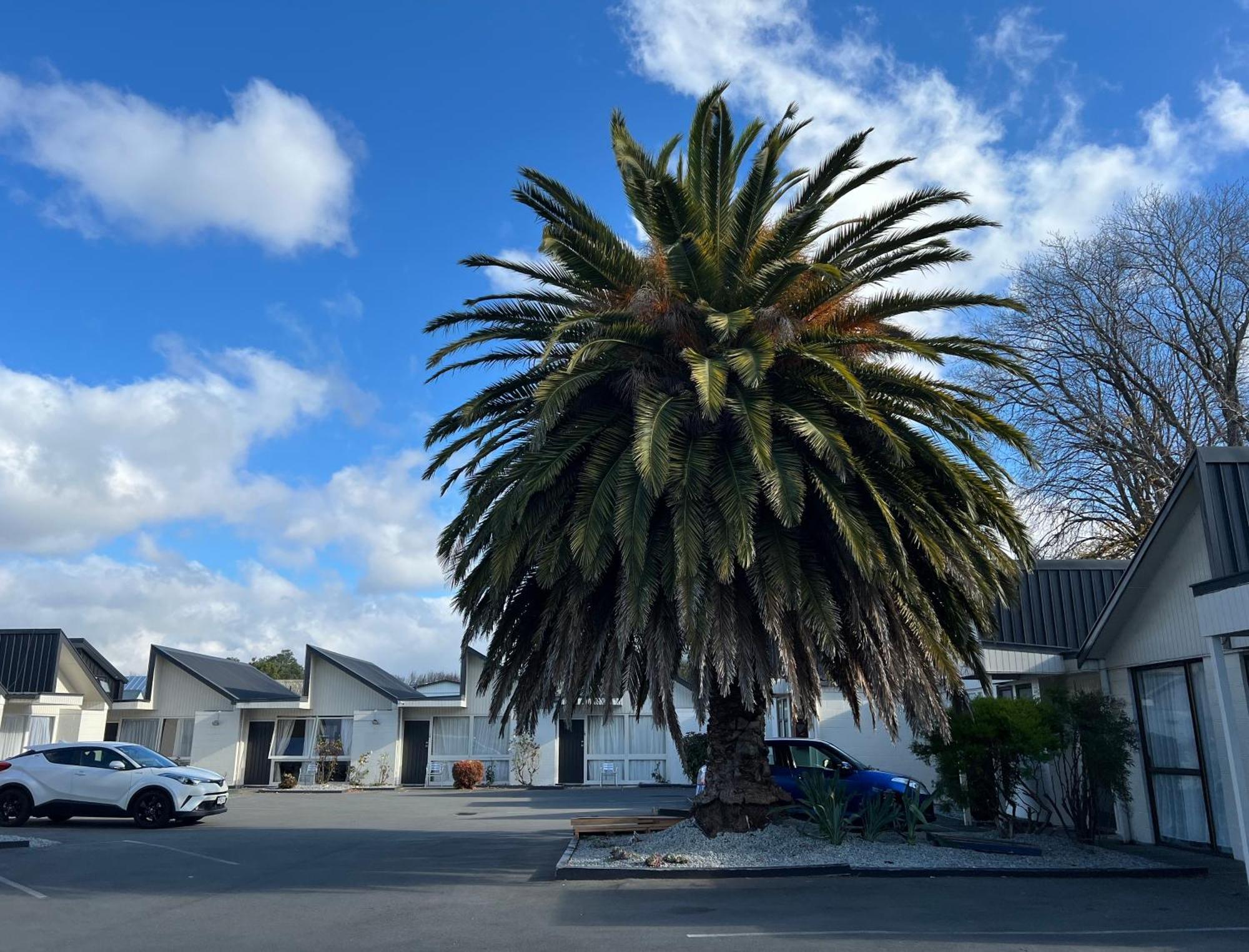 Diplomat Motel Christchurch Exterior photo